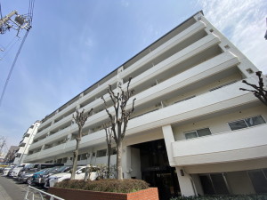 ゾンネンハイム大橋514の室内1