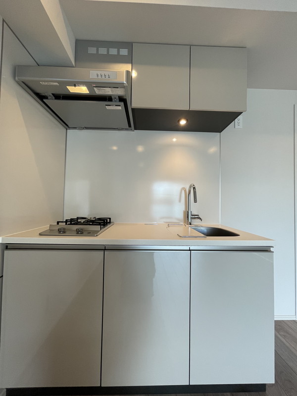 イプセ碑文谷103の室内4