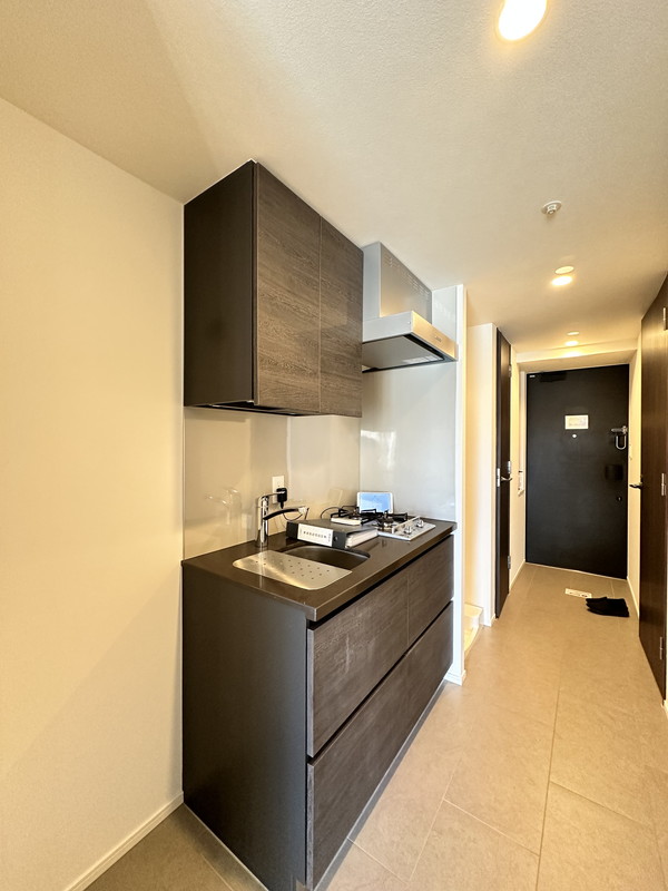 ザ・パークハビオ三軒茶屋テラス407の室内10