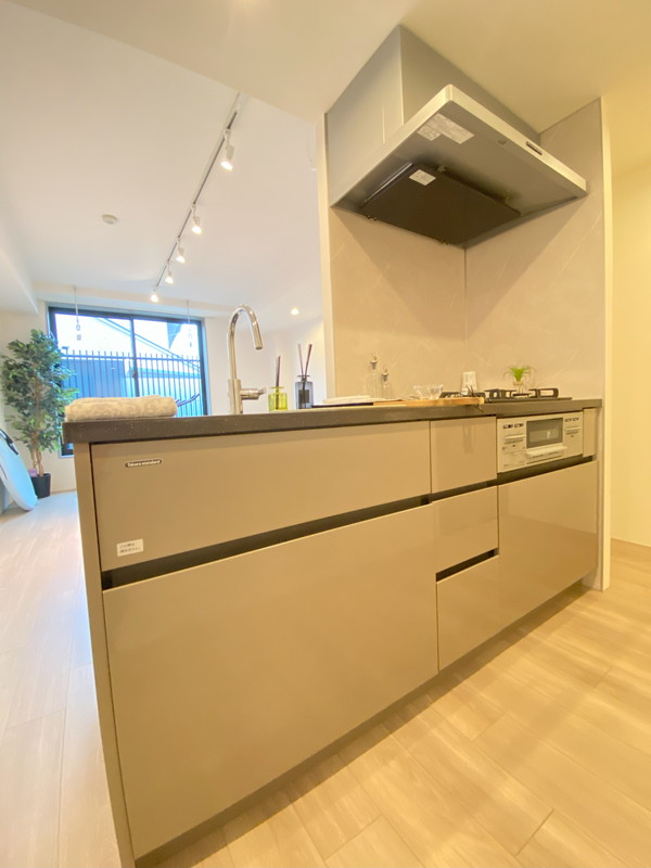 LEGALAND駒沢大学ANNEX（リーガランド駒沢大学アネックス）305の室内7