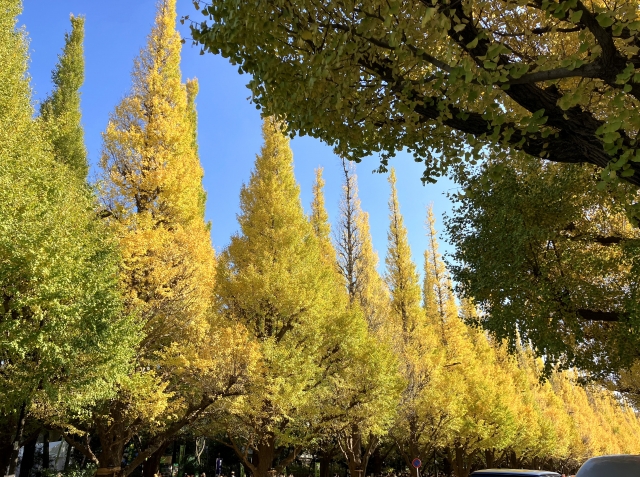 ザ・神宮前レジデンス705の室内16