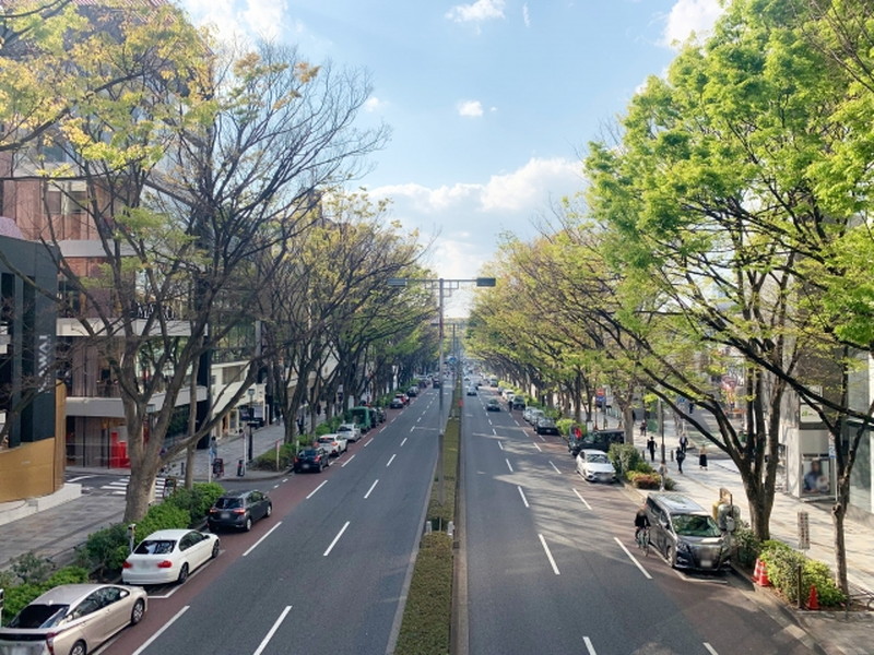 ザ・神宮前レジデンス705の室内14