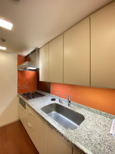 下北沢パークハウス206の室内5