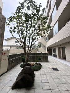 下北沢パークハウス206の室内16