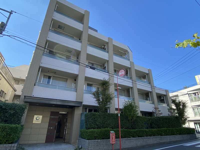 カスタリア自由が丘209の室内1