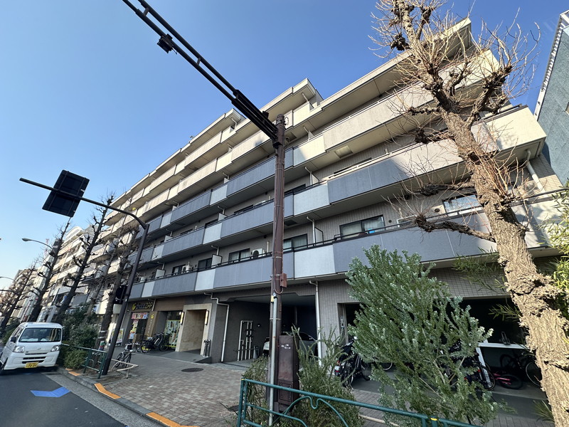 コスモリード学芸大学306の室内1