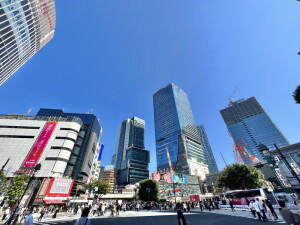 TKフラッツ渋谷1001の室内16