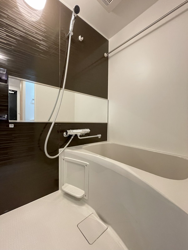 ルネサンスコート不動前303の室内8