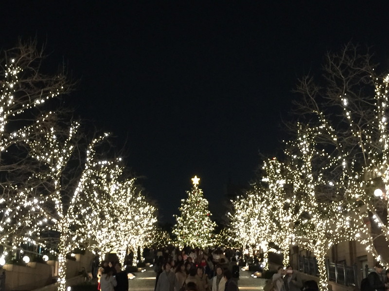 コンフォルティス011の室内18