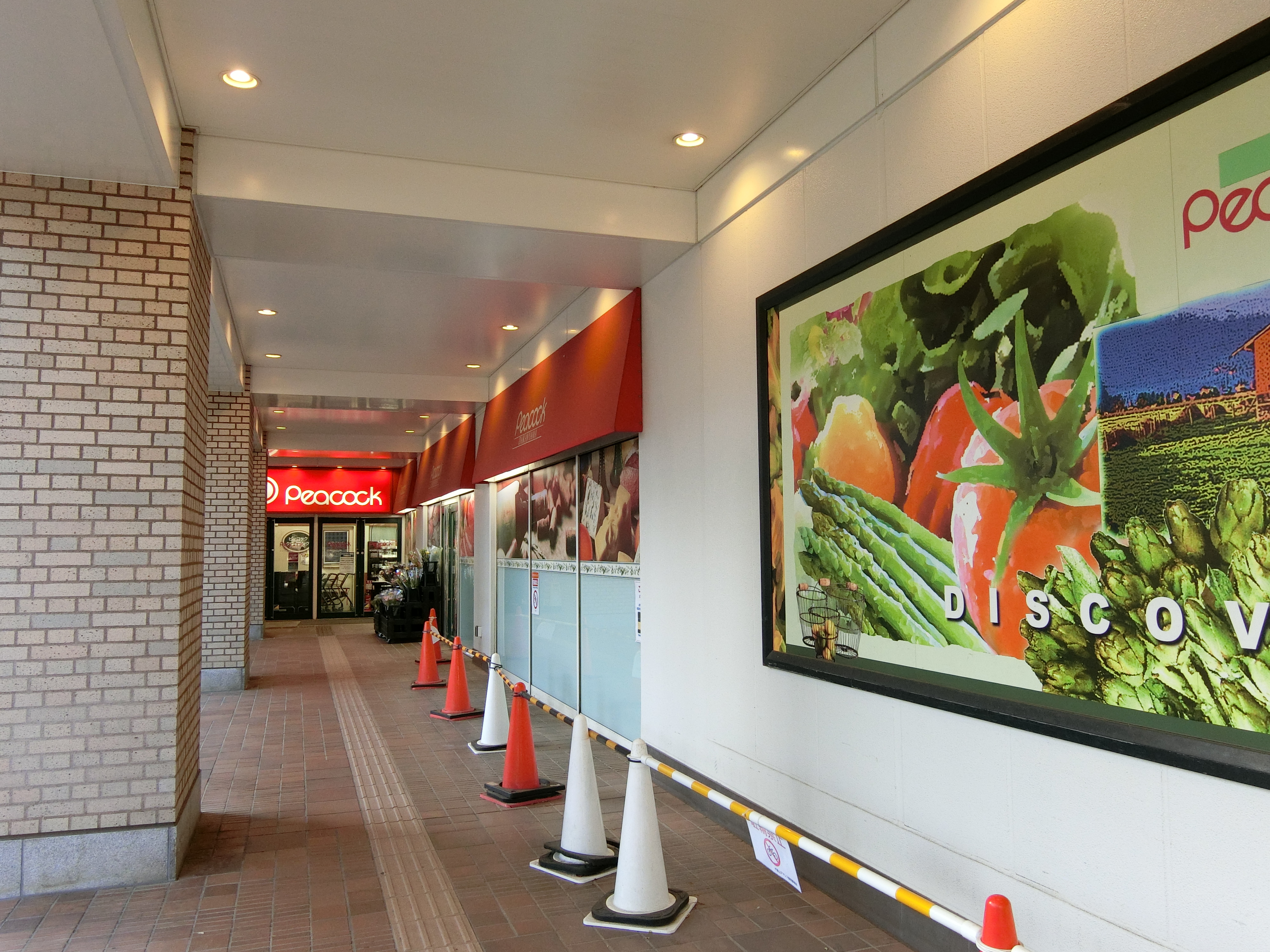 コンフォルティス011の室内14