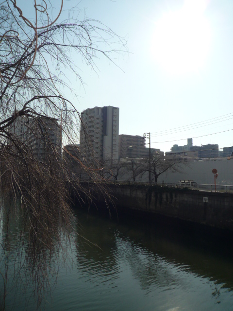 ベルファース目黒601の室内16