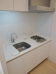 パークキューブ目黒タワー110の室内5