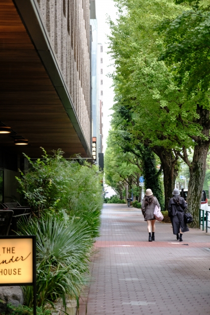 GRAN PASEO島津山EAST402の室内12