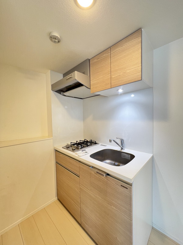 ディアレイシャス池尻大橋309の室内6