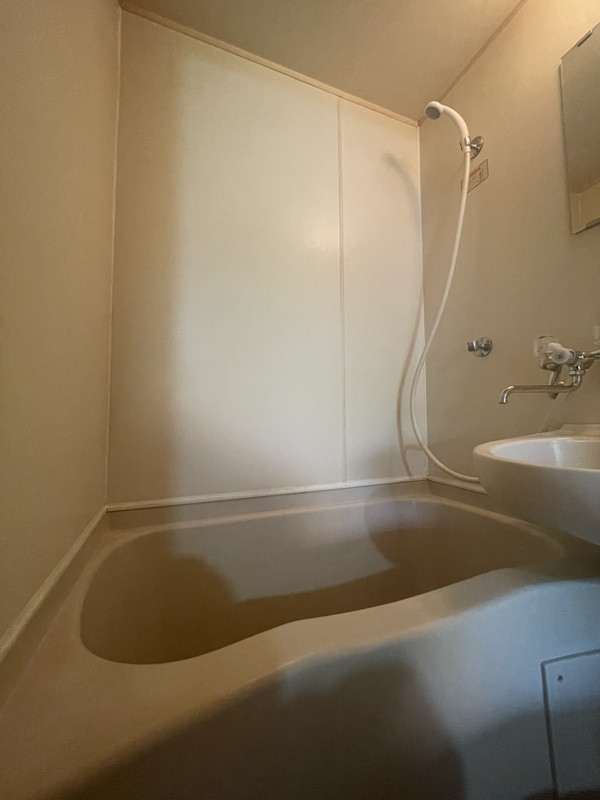 メゾン・ド・サリアン402の室内15