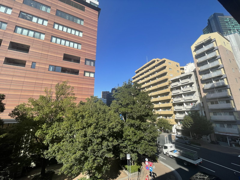 メゾン・ド・サリアン402の室内10