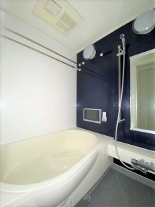 レジデンス三宿0101の室内5