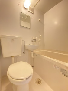 代官山パーフェクトルーム512の室内5