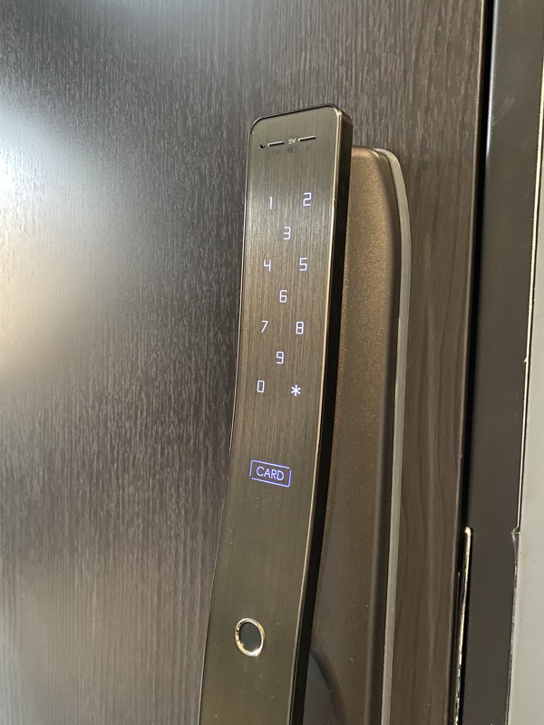 La Blancheur 桜新町(ラ・ブランシュール桜新町)203の室内6