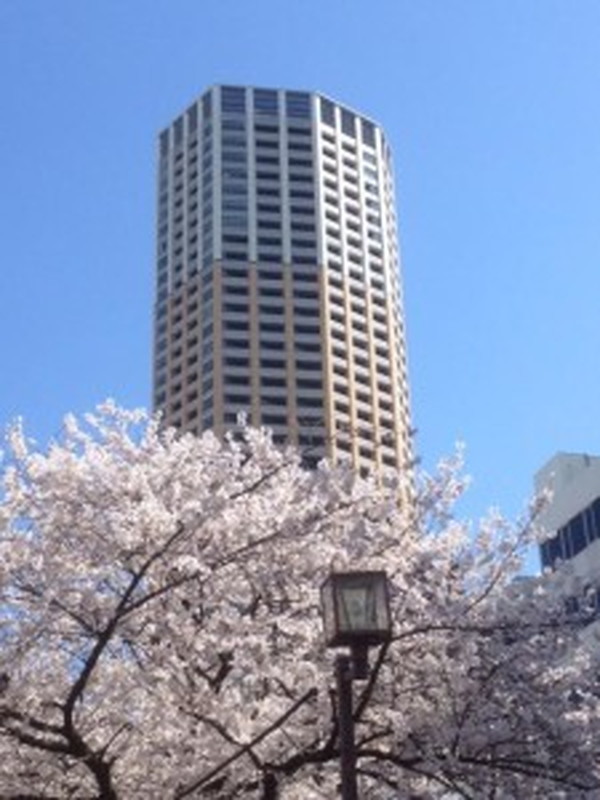 EXAM中目黒II(エクサム中目黒)2034095112の室内10