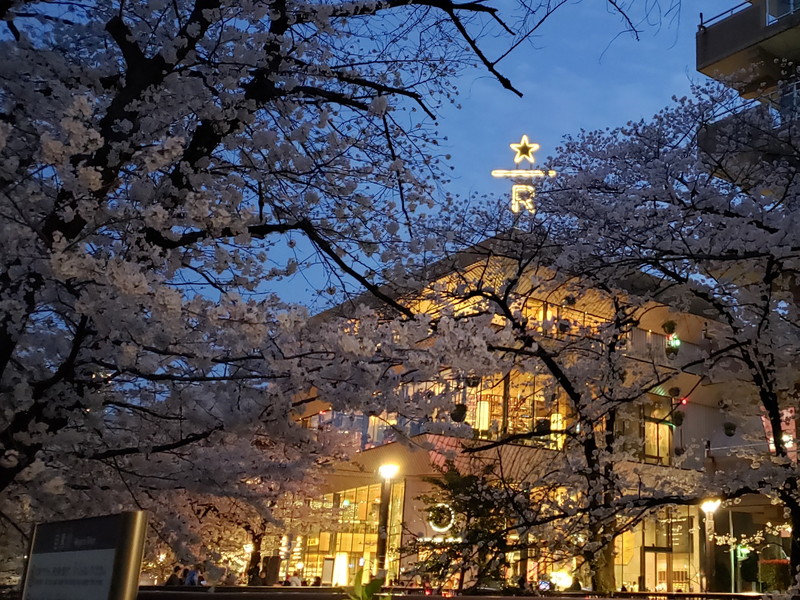 ルピナス目黒東山202の室内17