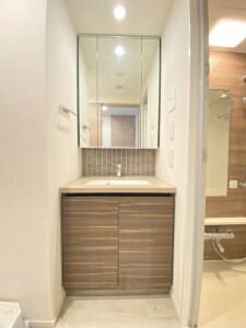 ザ・パークハビオ三軒茶屋テラス101の室内5