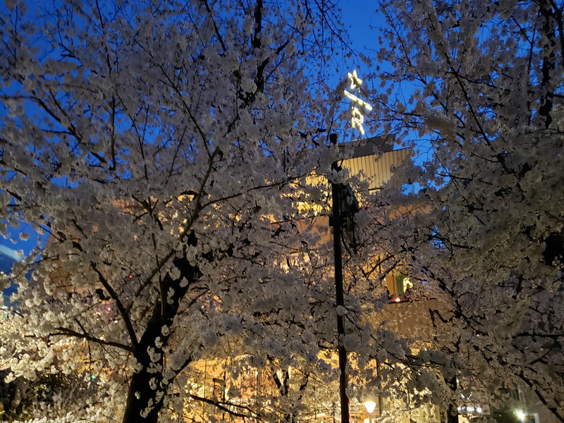 フォルスコート目黒大橋310の室内17