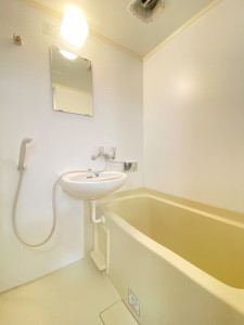 ラフィーネ学芸大学101の室内11