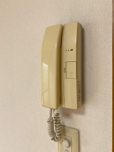 ラフィーネ学芸大学101の室内12