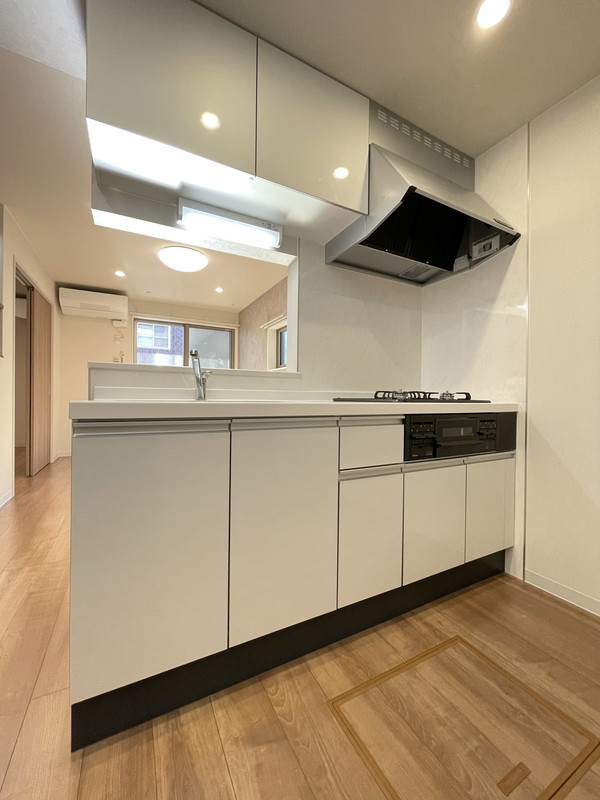 ルピナスガーデン代田101の室内15