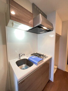 レジディア三宿1103の室内7