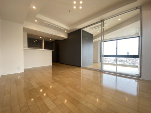 レジディアタワー中目黒803の室内3