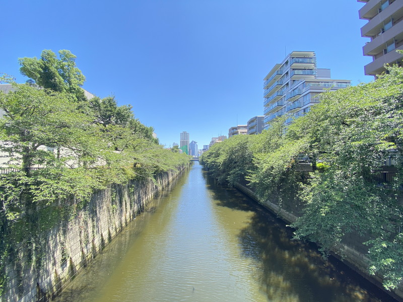 Decor Maison 中目黒(デコールメゾン中目黒)202の室内14