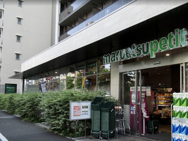 Decor Maison 中目黒(デコールメゾン中目黒)202の室内17