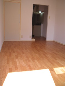 ドミールベルチェリー303の室内12