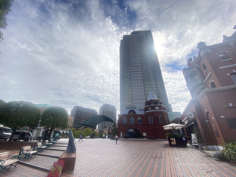 ドミールベルチェリー303の室内17