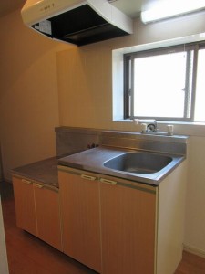 ドミールベルチェリー303の室内11