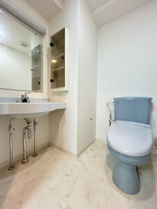 メゾン・ド・ヴィレ目黒1005の室内7