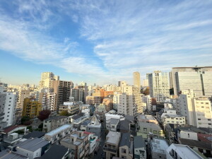 メゾン・ド・ヴィレ目黒1005の室内2