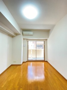 メゾン・ド・ヴィレ恵比寿601の室内5