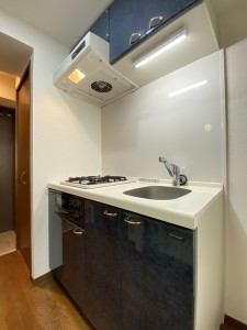 菱和パレス代官山302の室内5