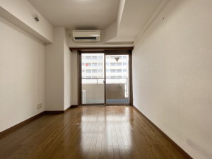 菱和パレス代官山302の室内3