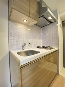 メゾン・クロイゾン604の室内5