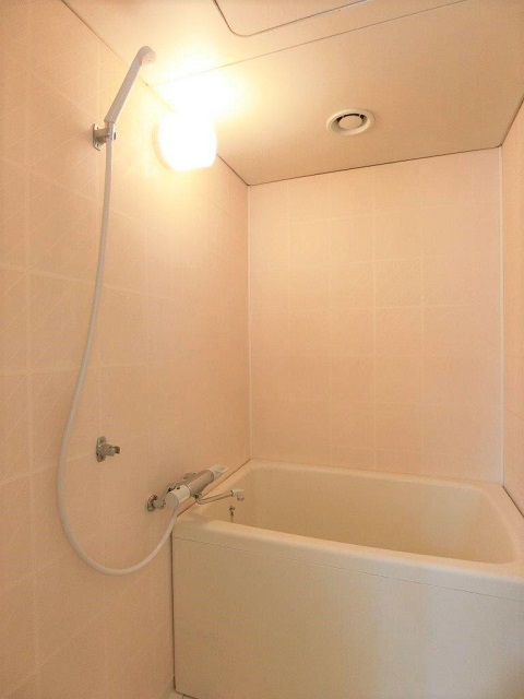 エレガン学芸大学202の室内2