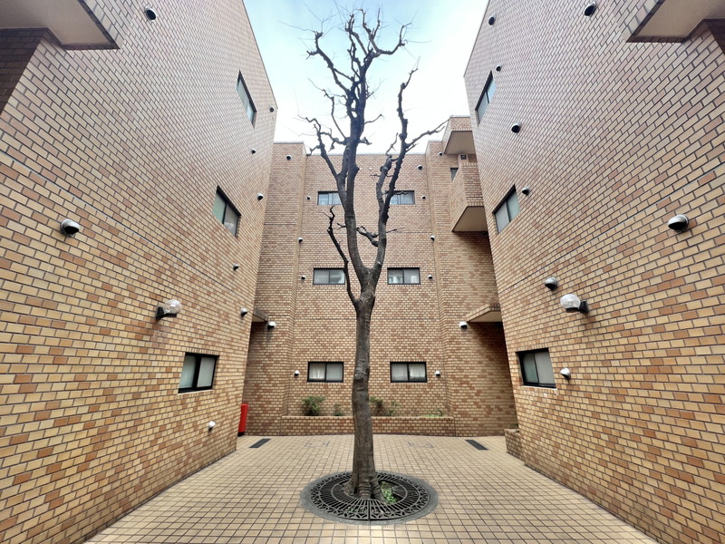 エレガン学芸大学202の室内12