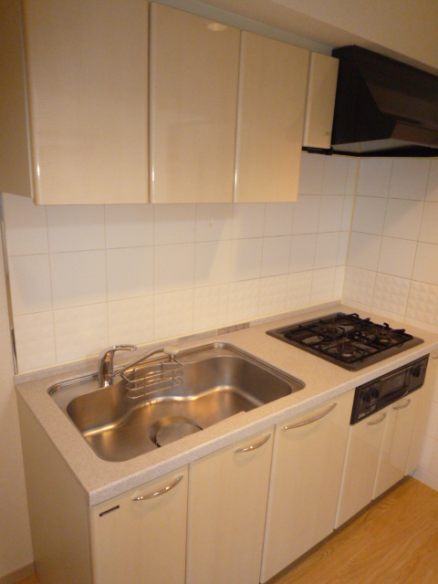 デュオ・スカーラ渋谷502の室内9