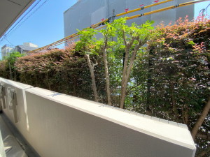 NTPRレジデンス鷹番108の室内8