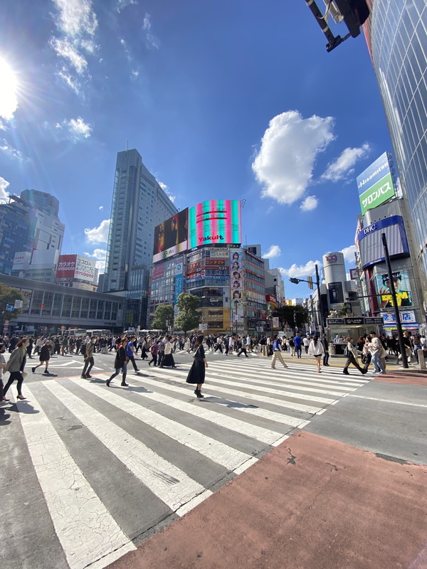 メゾンビスタ渋谷宇田川702の室内14