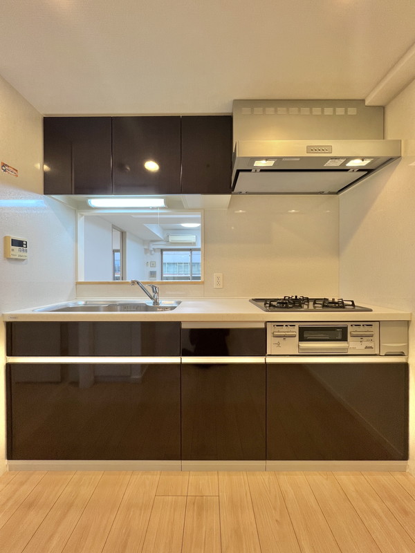 シャンピアグランデ深沢410の室内5