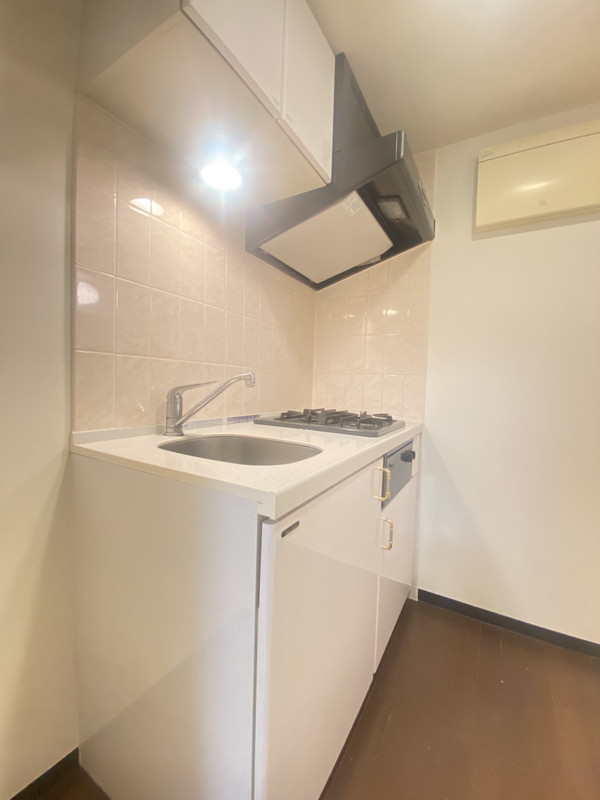 トーシンフェニックス松濤401の室内7